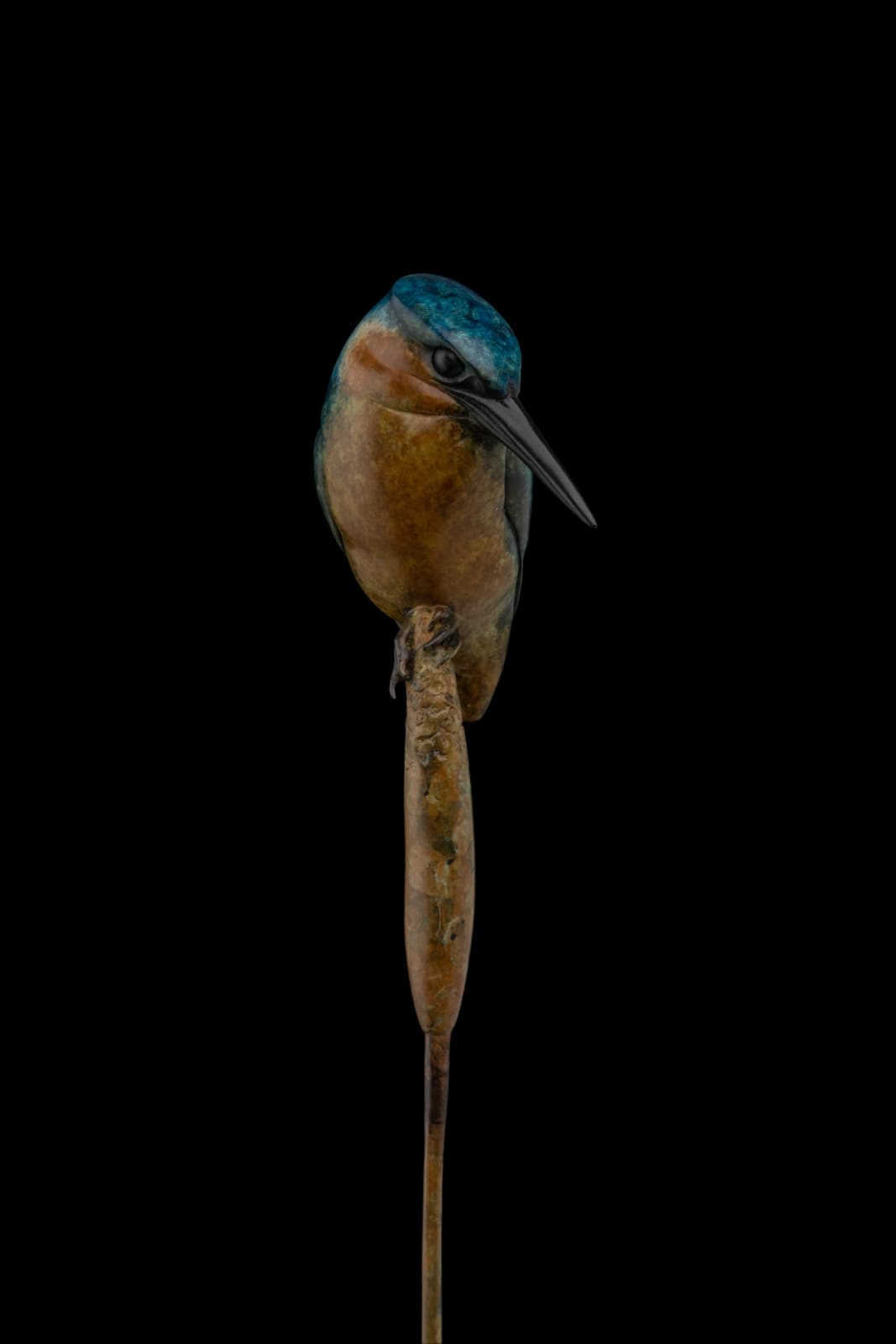 Adam Binder, Kingfisher