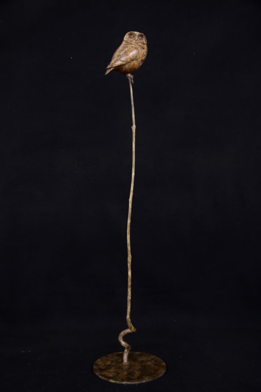 Adam Binder, Little Owl III