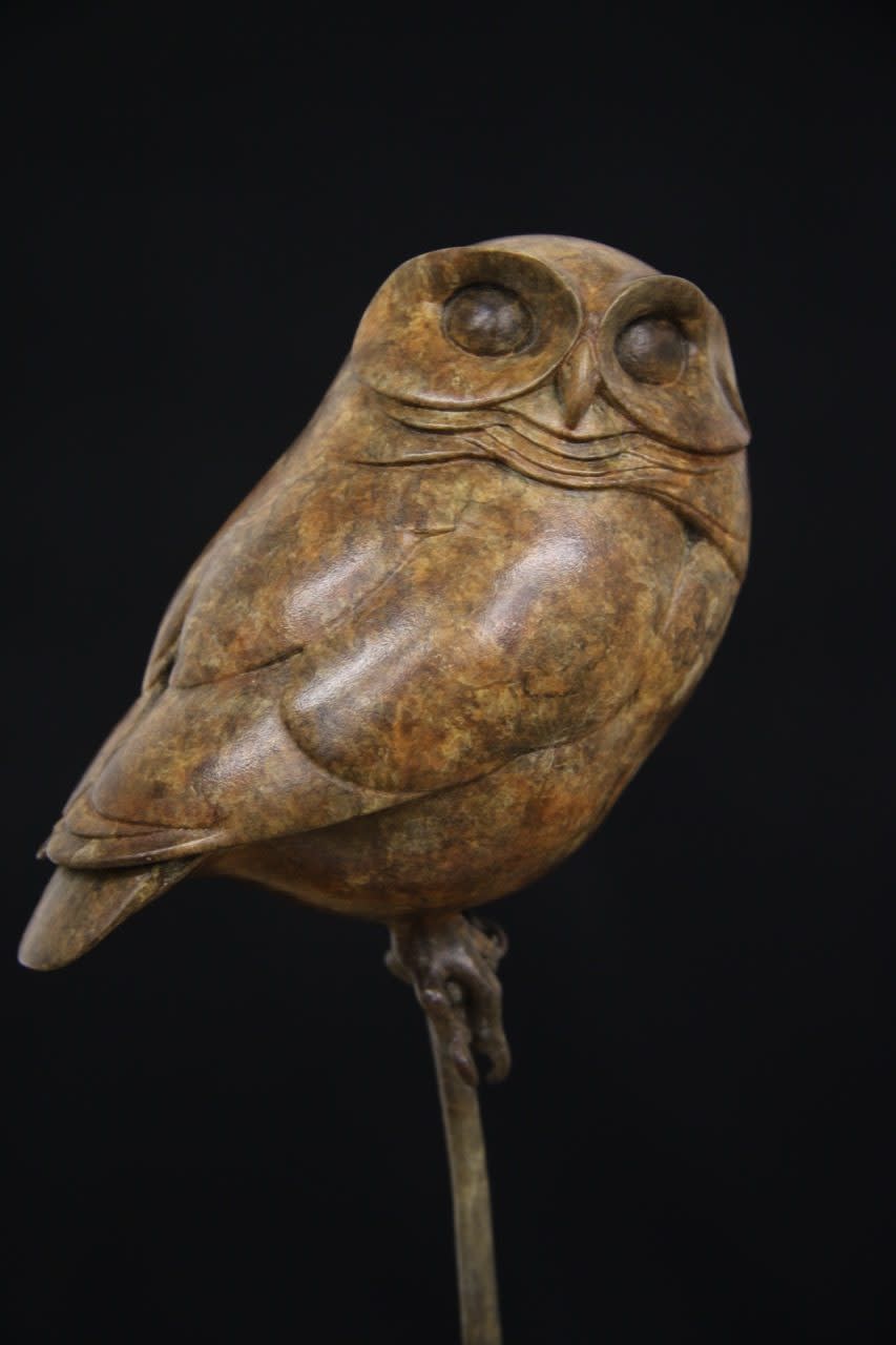Adam Binder, Little Owl III