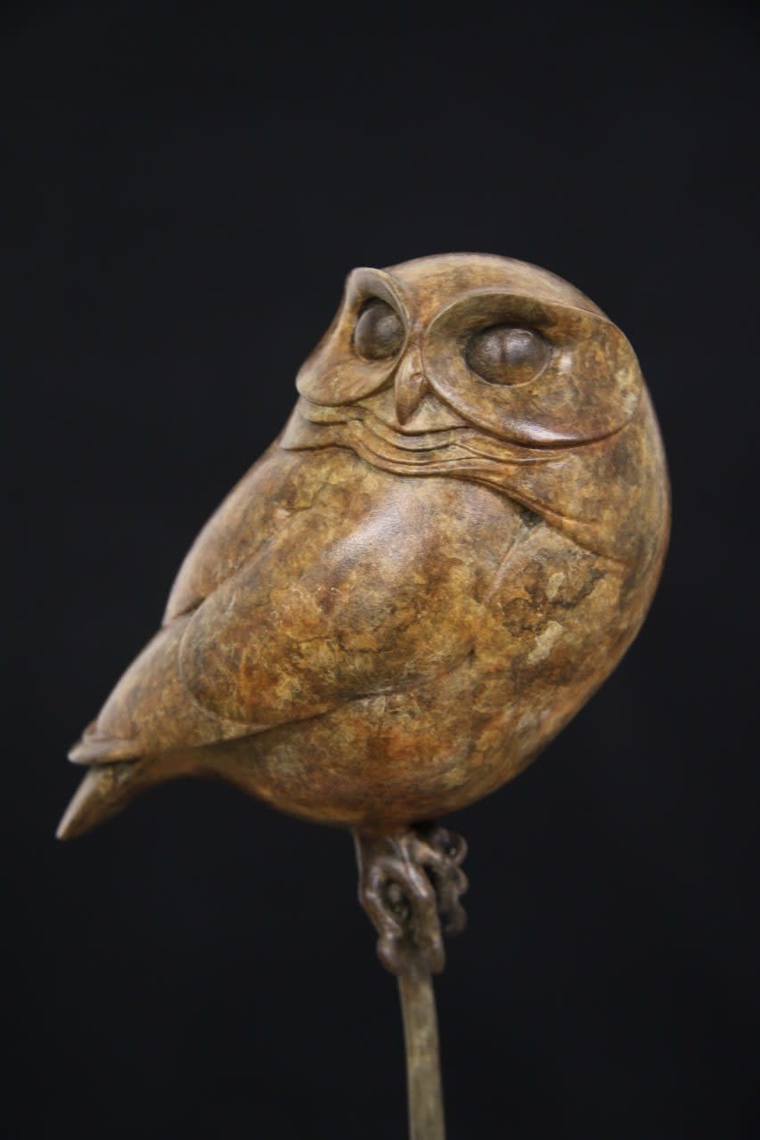 Adam Binder, Little Owl III