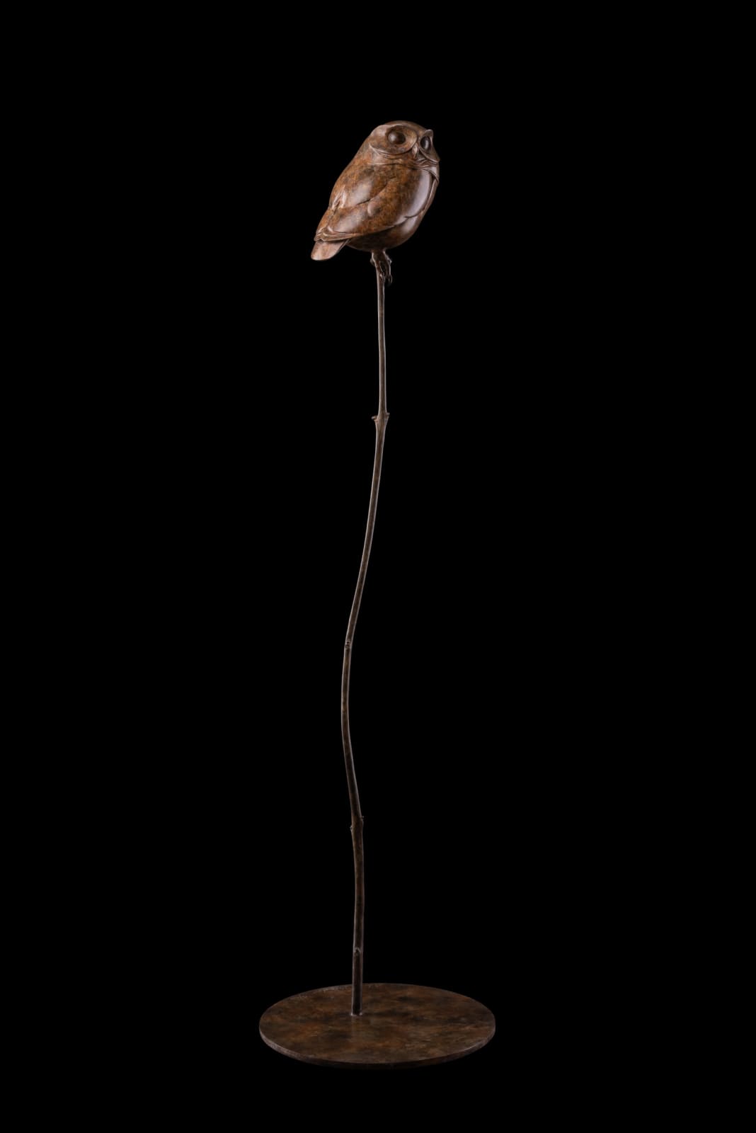 Adam Binder, Little Owl III