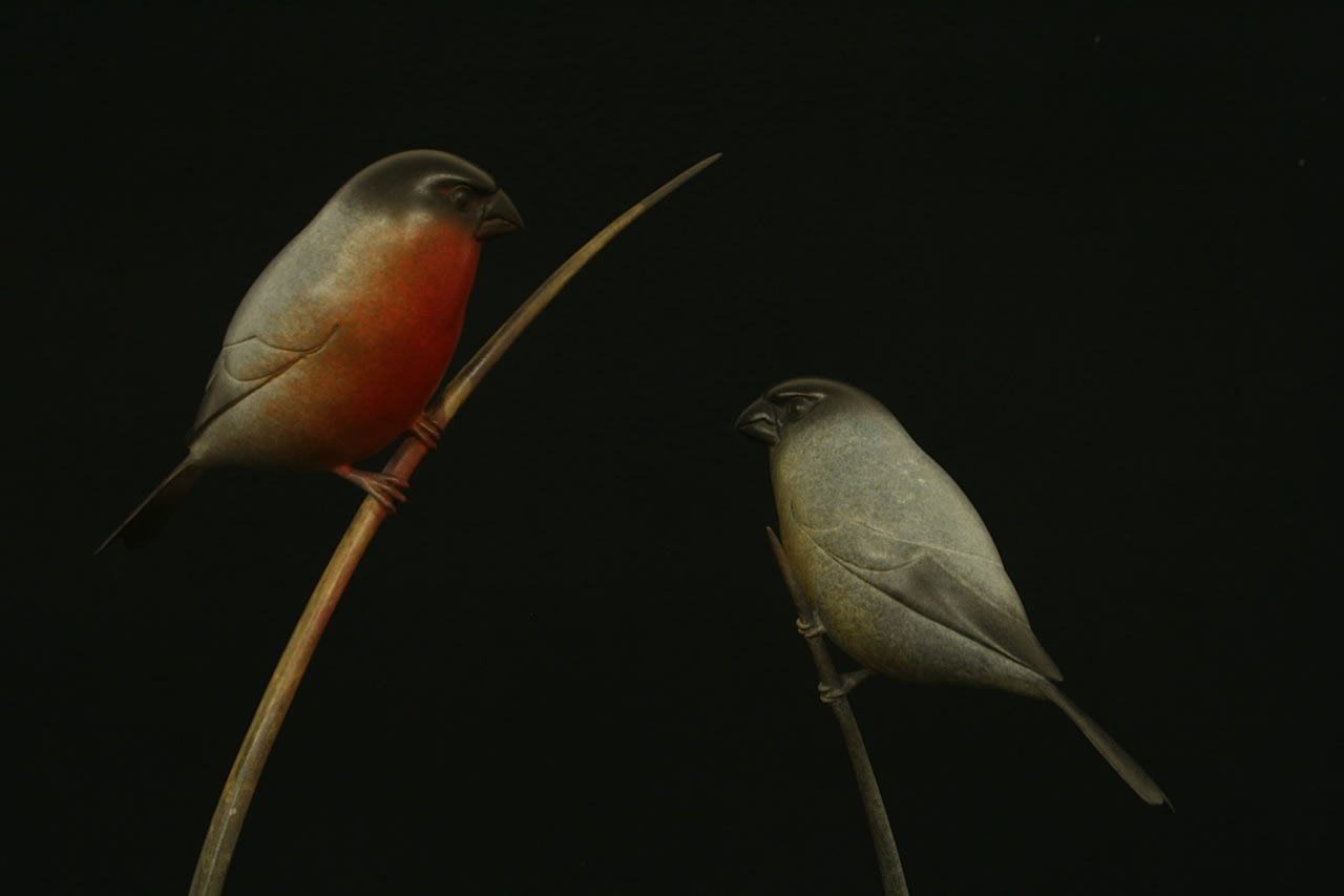 Adam Binder, Bullfinches