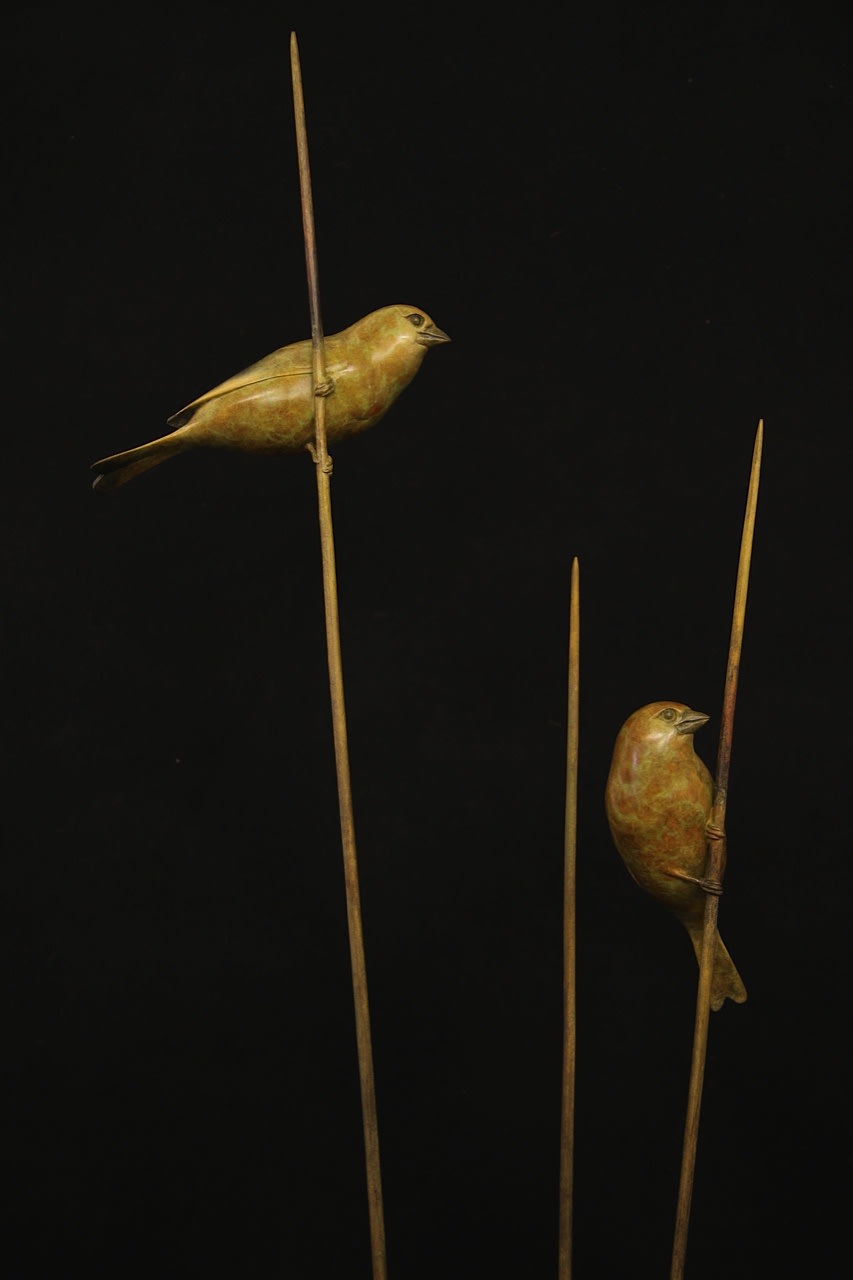 Adam Binder, Greenfinches