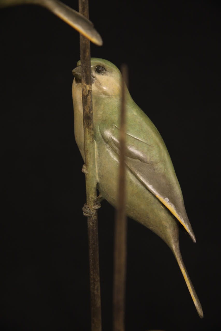 Adam Binder, Greenfinches
