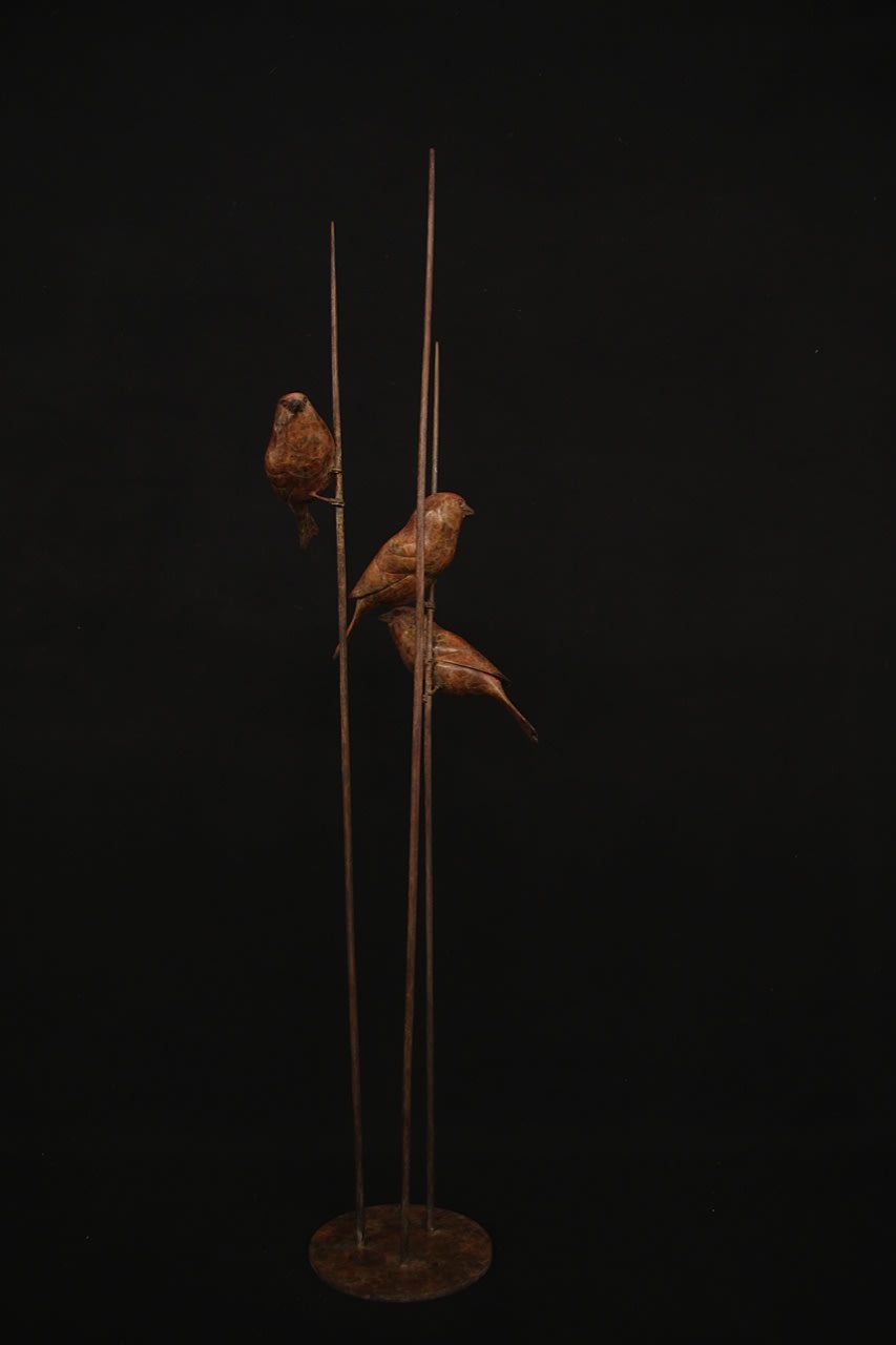 Adam Binder, Three Sparrows