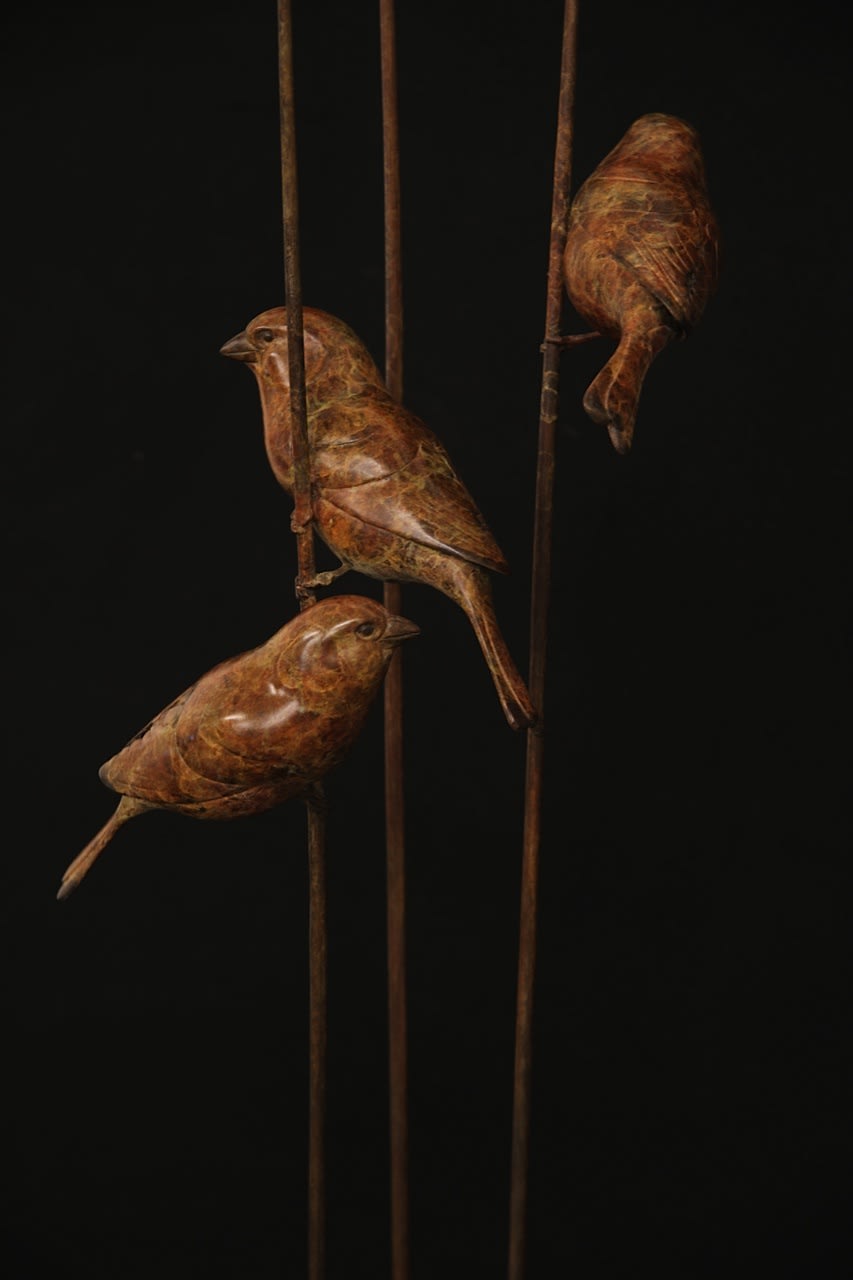 Adam Binder, Three Sparrows