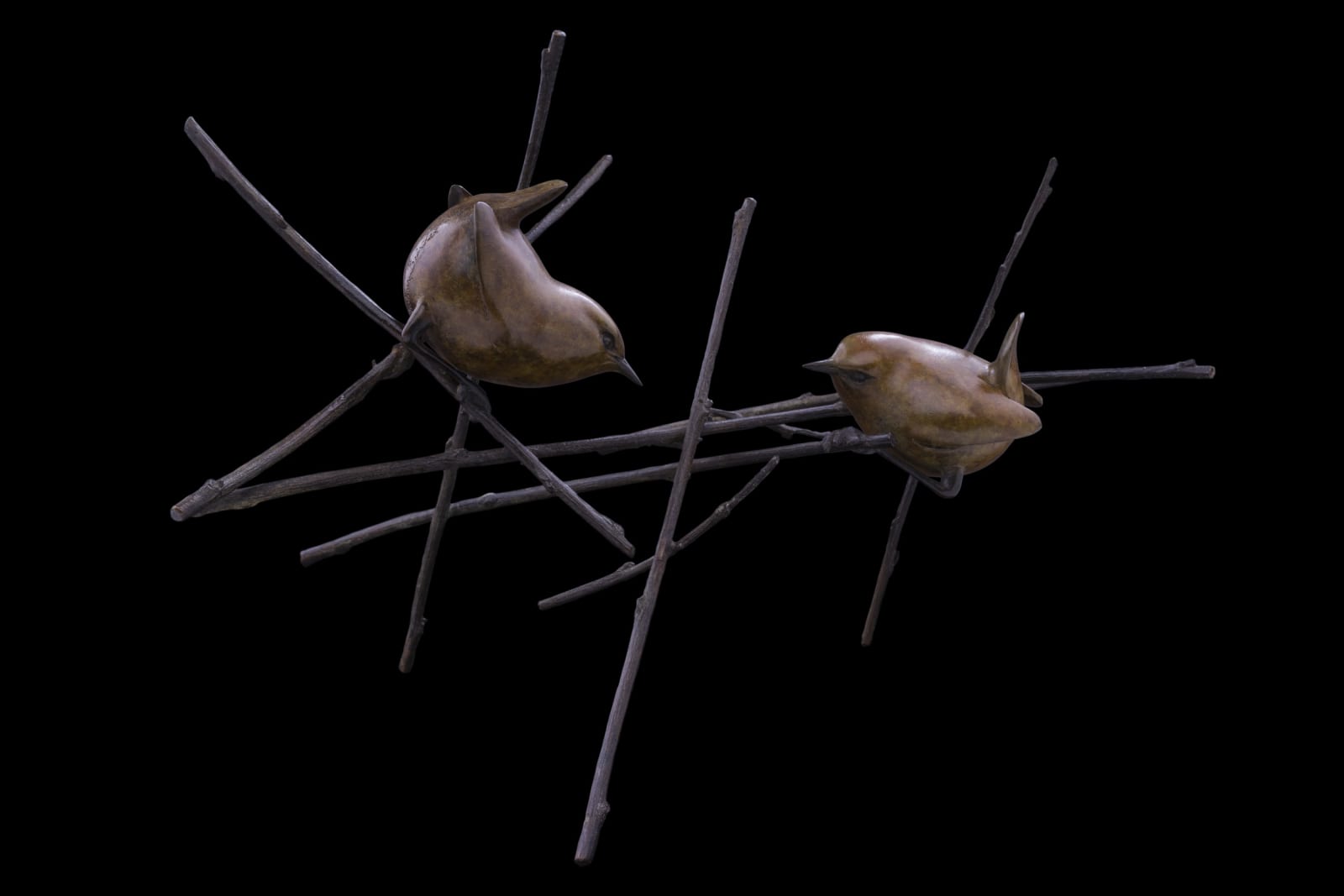 Adam Binder, Two Wrens
