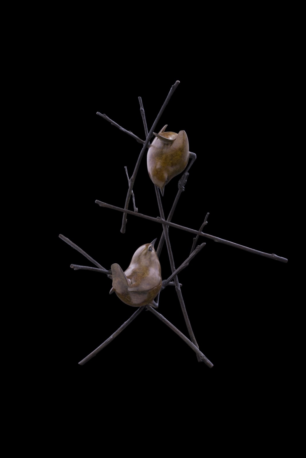 Adam Binder, Two Wrens