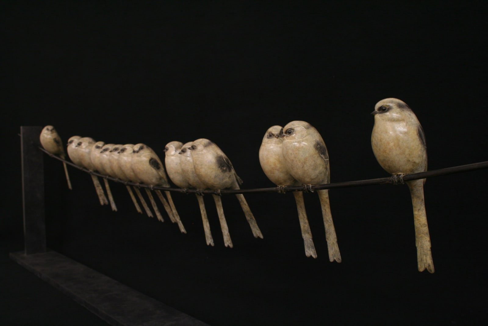 Adam Binder, Fourteen Long Tailed Tits