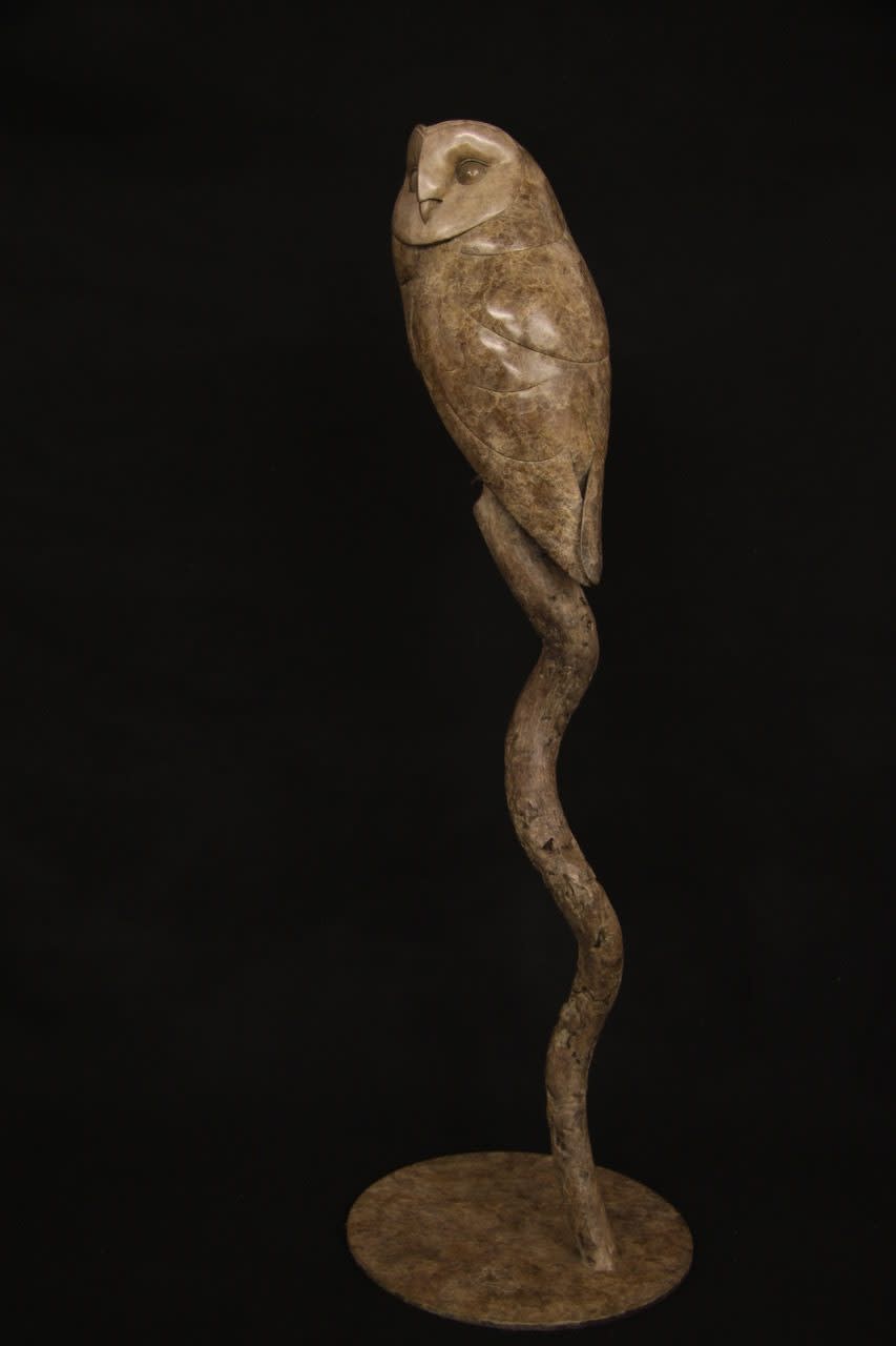 Adam Binder, Barn Owl
