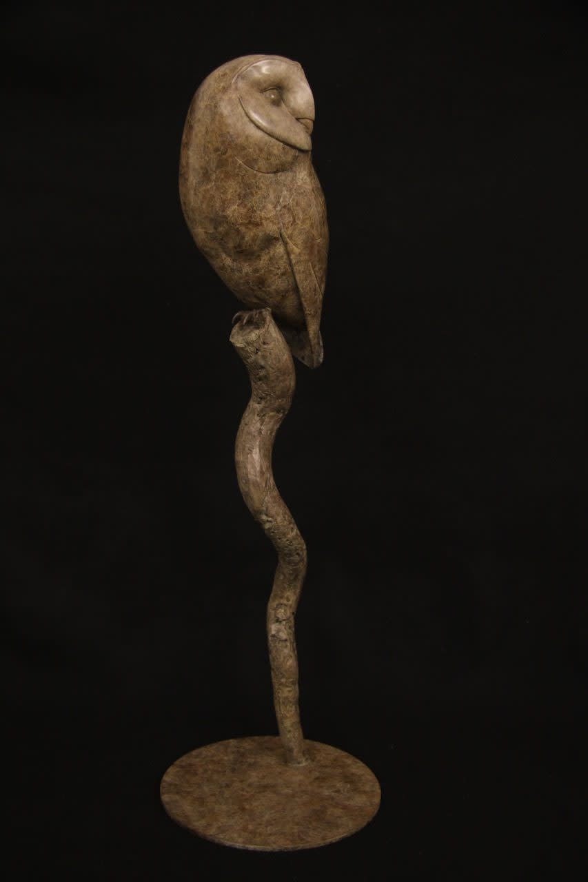 Adam Binder, Barn Owl