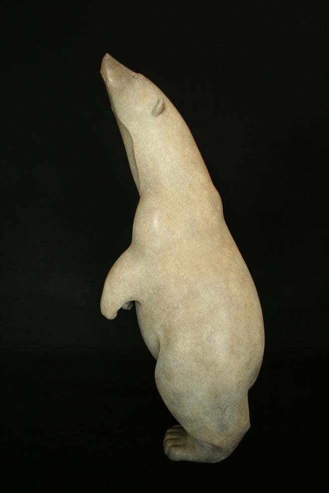 Adam Binder, Polar Bear