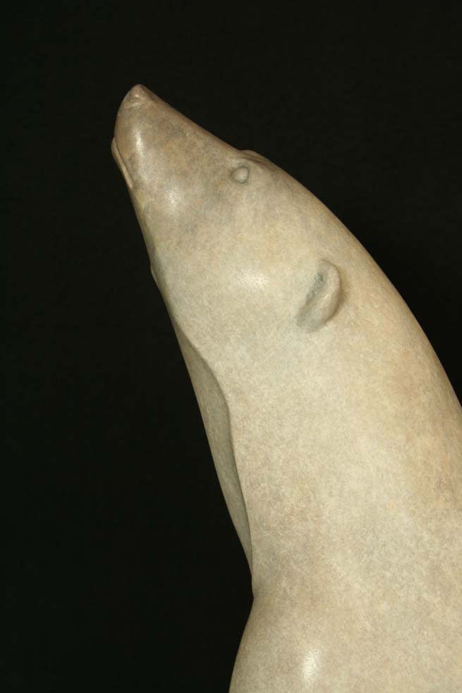 Adam Binder, Polar Bear