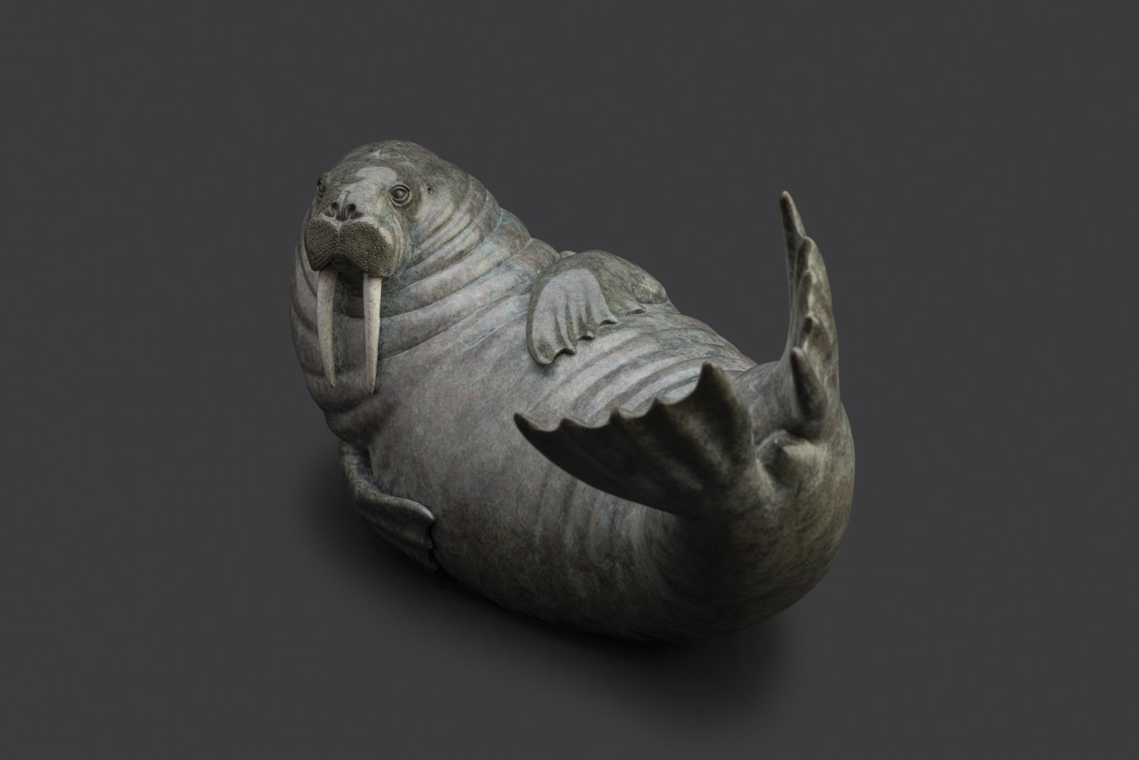 Adam Binder, Walrus