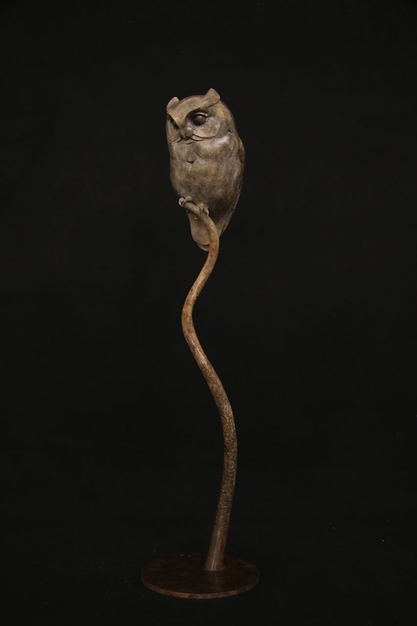 Adam Binder, Scops Owl