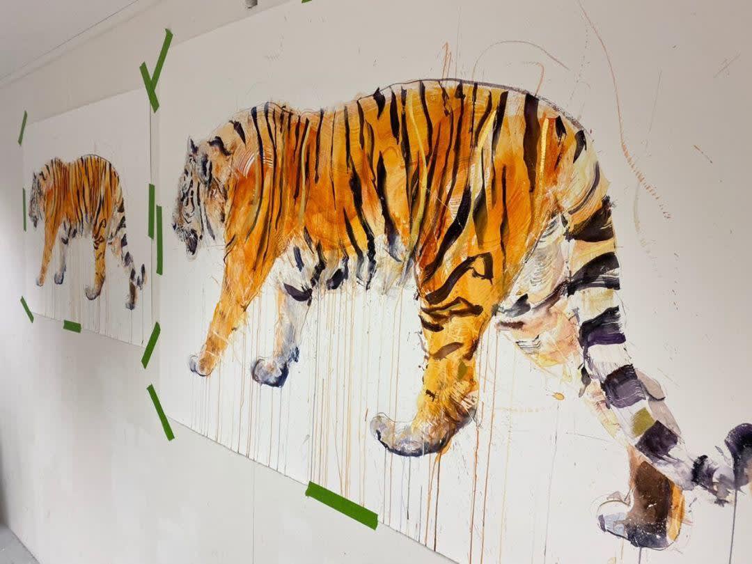 Dave White, Tiger