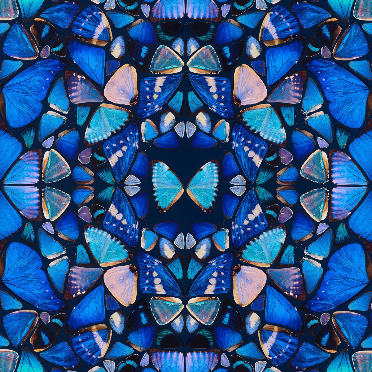 Damien Hirst, The Aspects - Grace