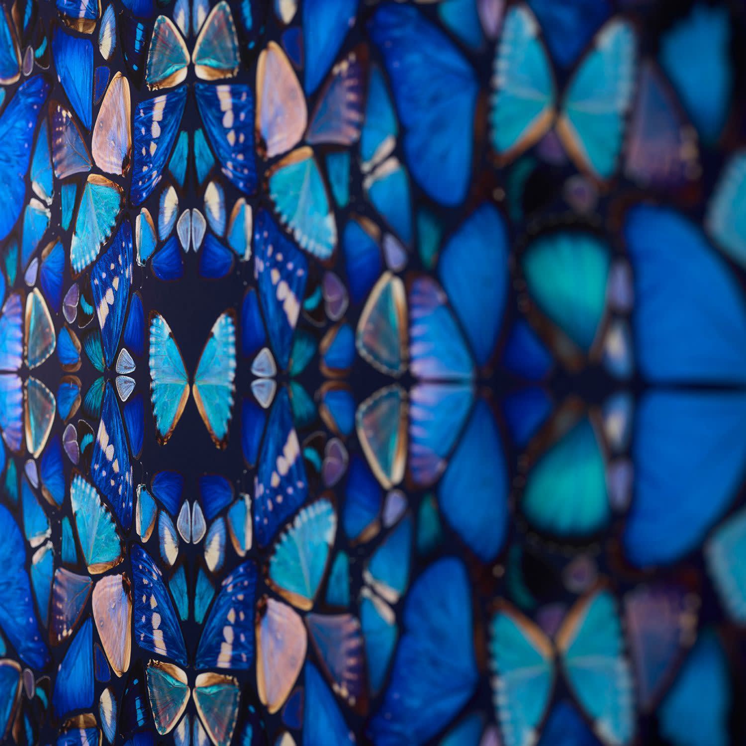 Damien Hirst, The Aspects - Grace