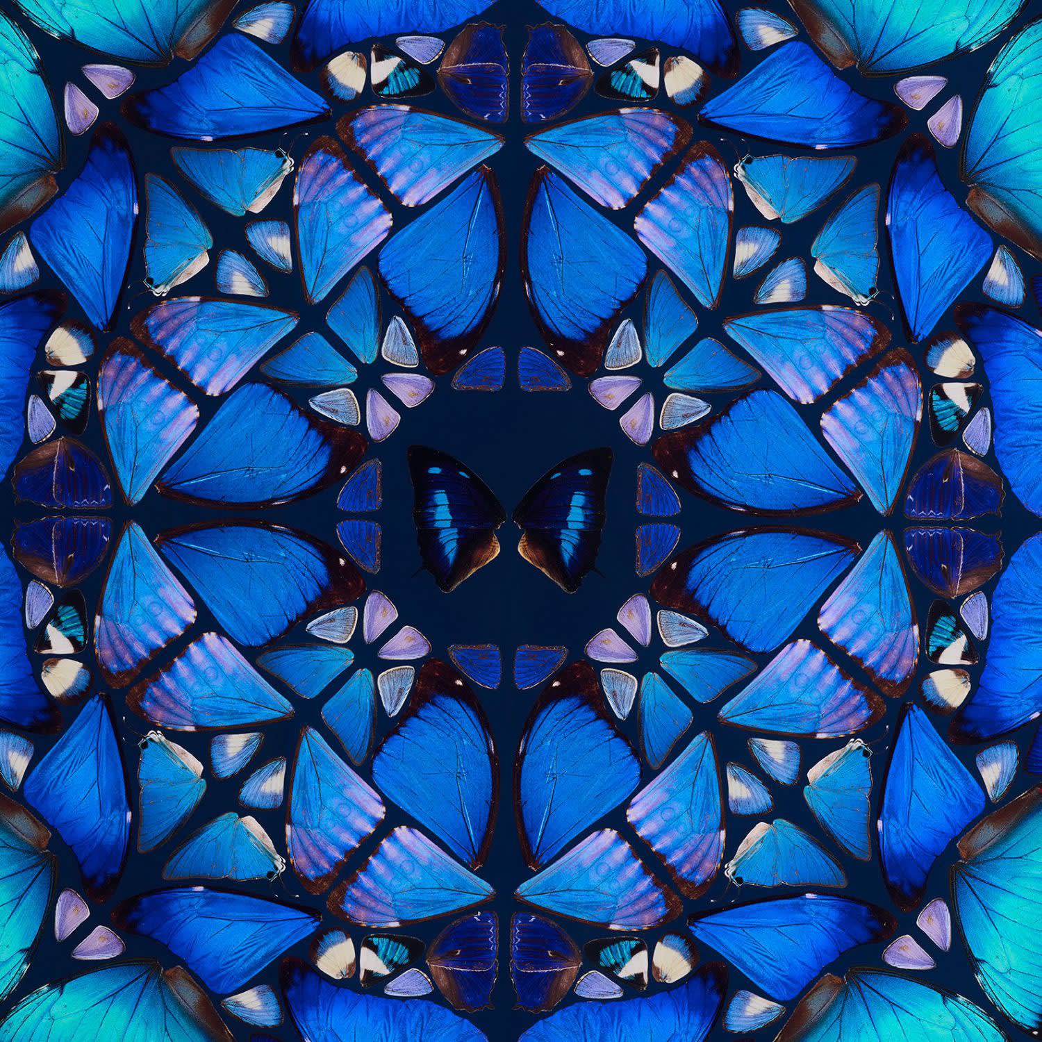 Damien Hirst, The Aspects - Patience
