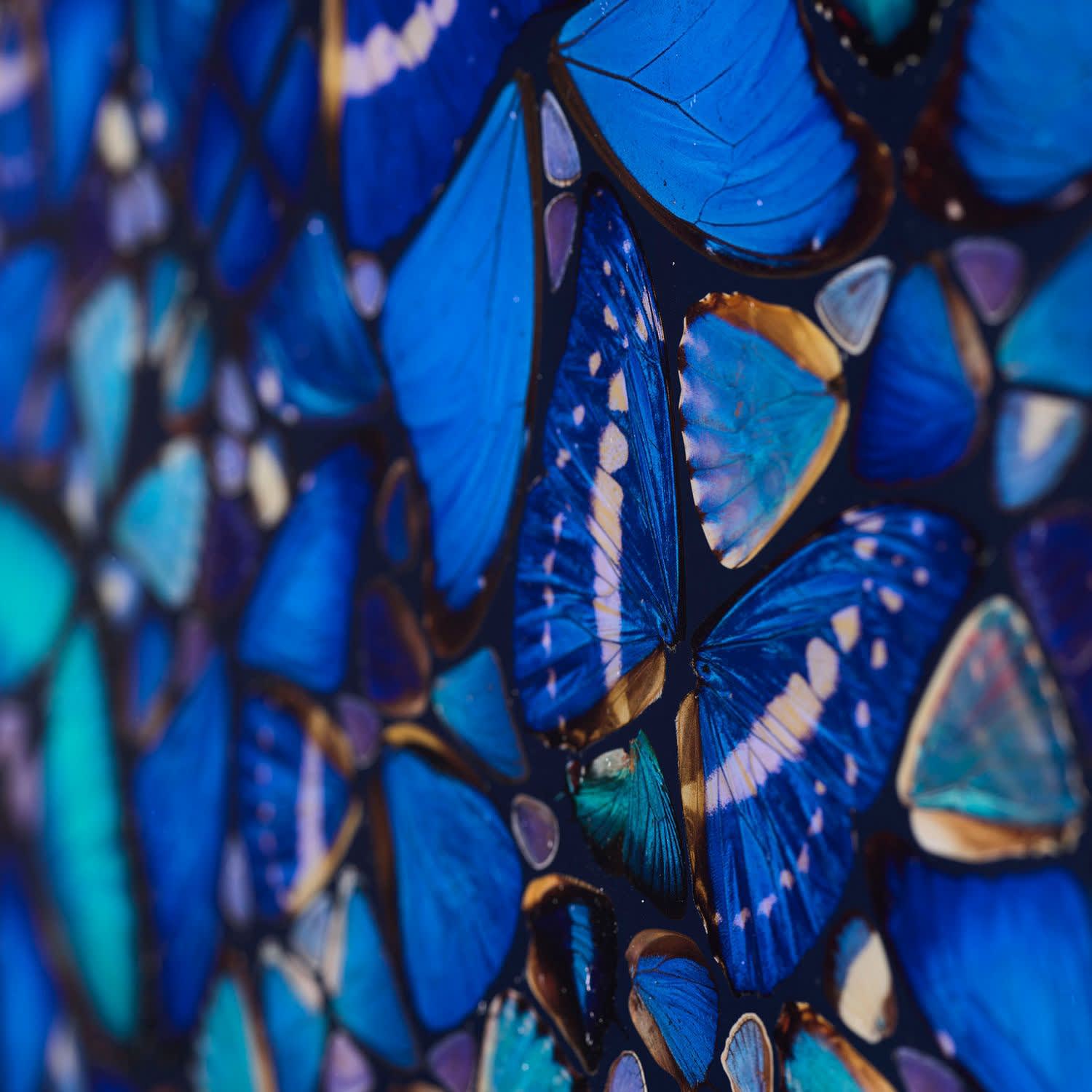 Damien Hirst, The Aspects - Patience