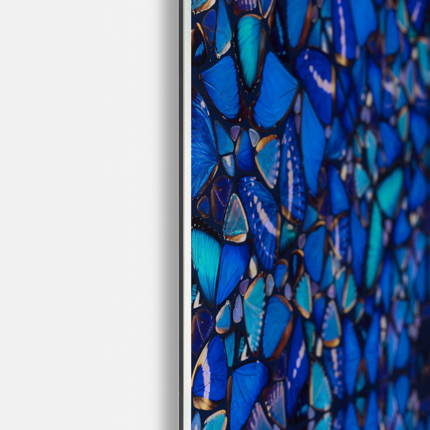 Damien Hirst, The Aspects - Patience