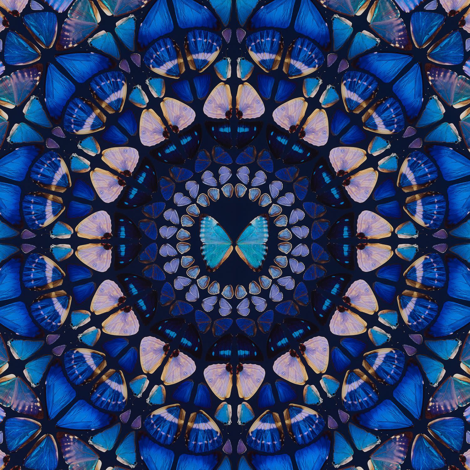 Damien Hirst, The Aspects - Truth