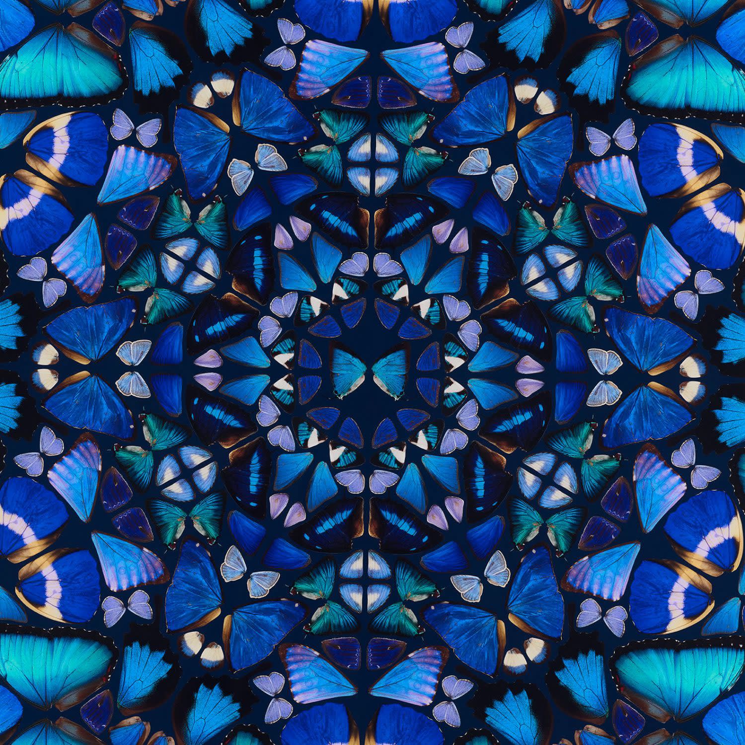 Damien Hirst, The Aspects - Goodness