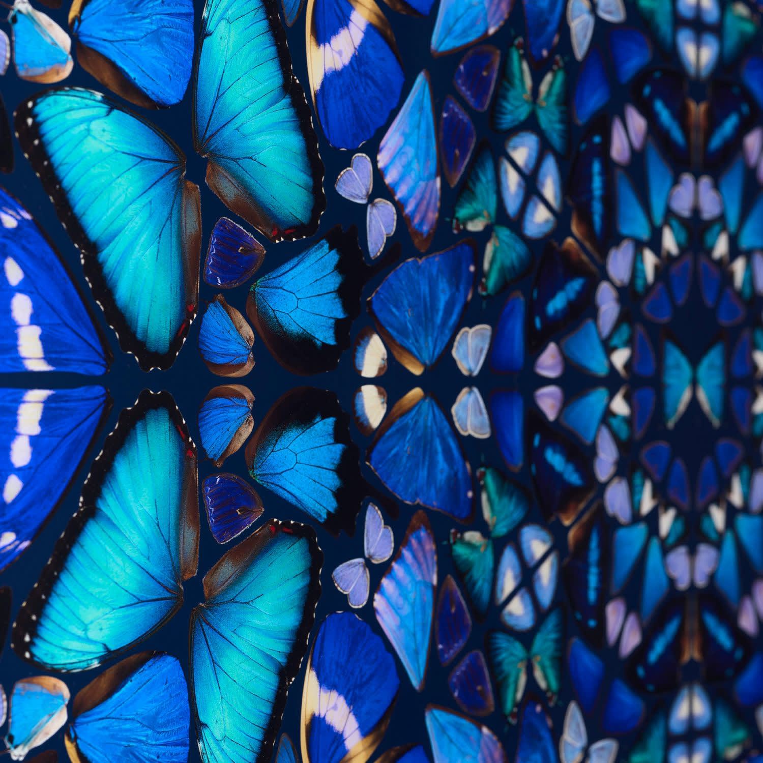 Damien Hirst, The Aspects - Goodness