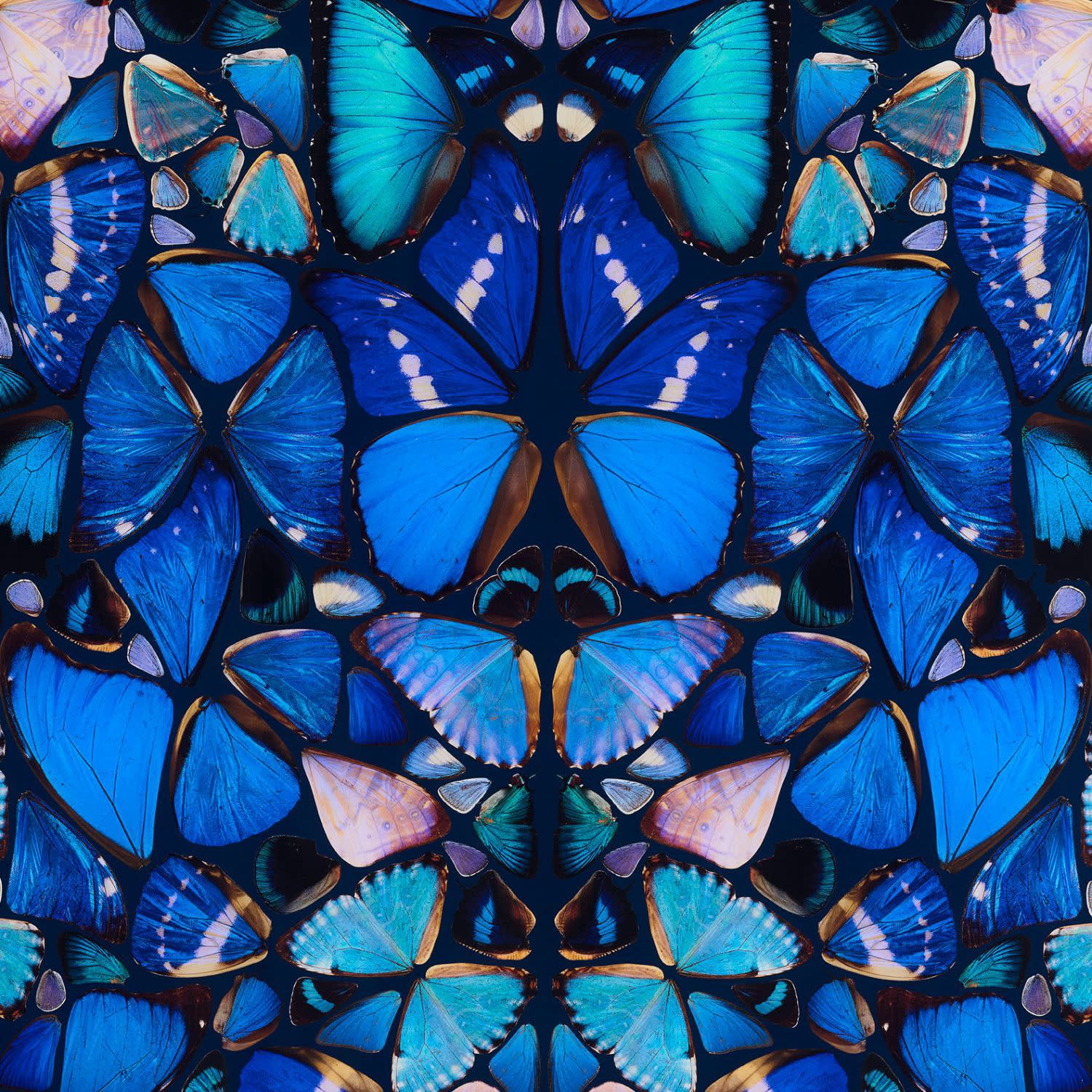 Damien Hirst, The Aspects - Mercy