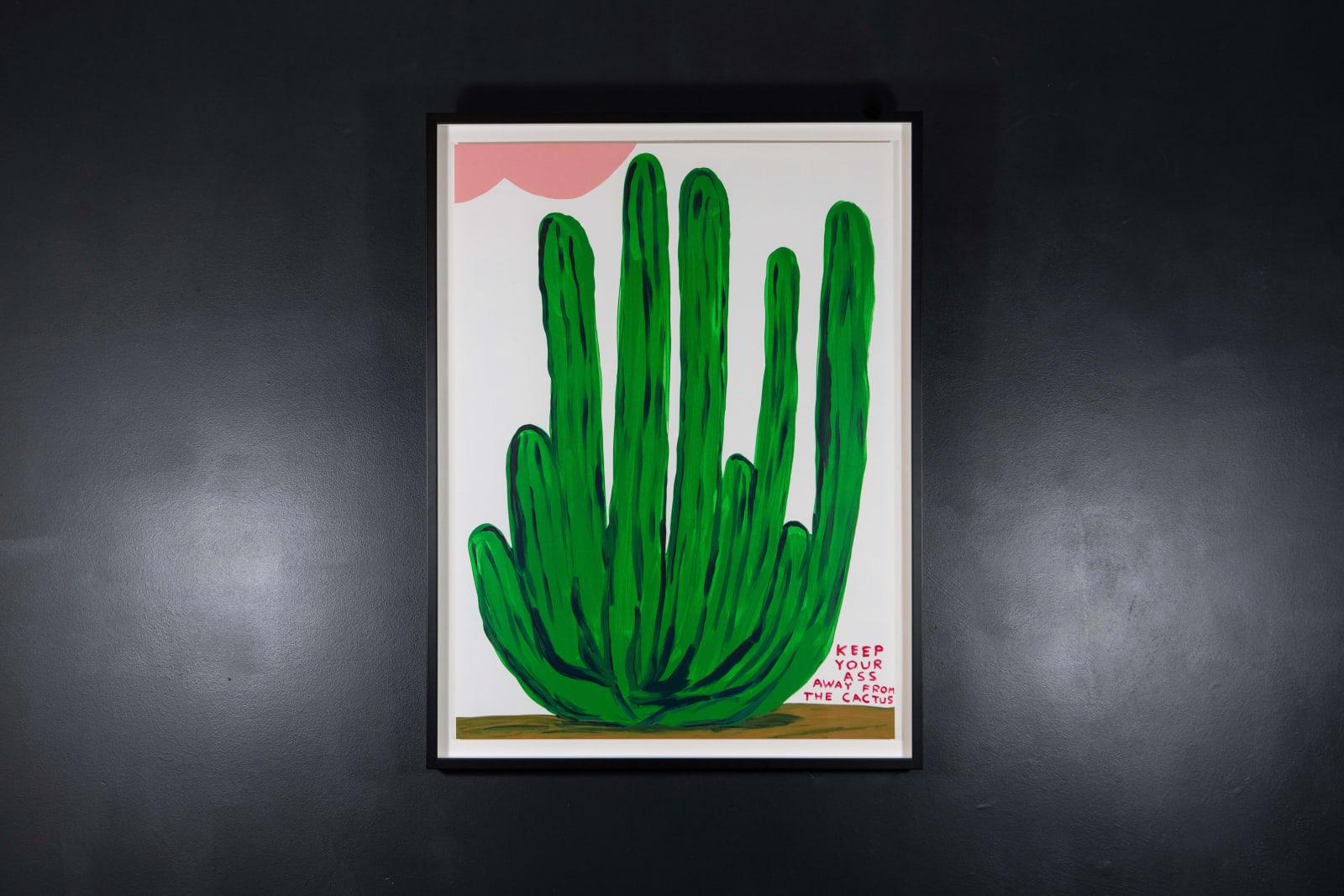 David Shrigley, Keep Your Ass Away From The Cactus