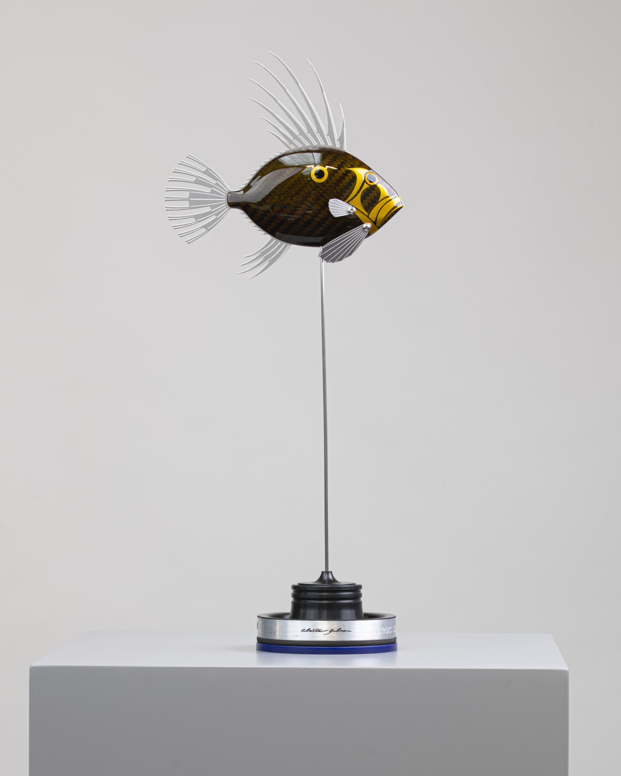 Alastair Gibson, Baby Dory