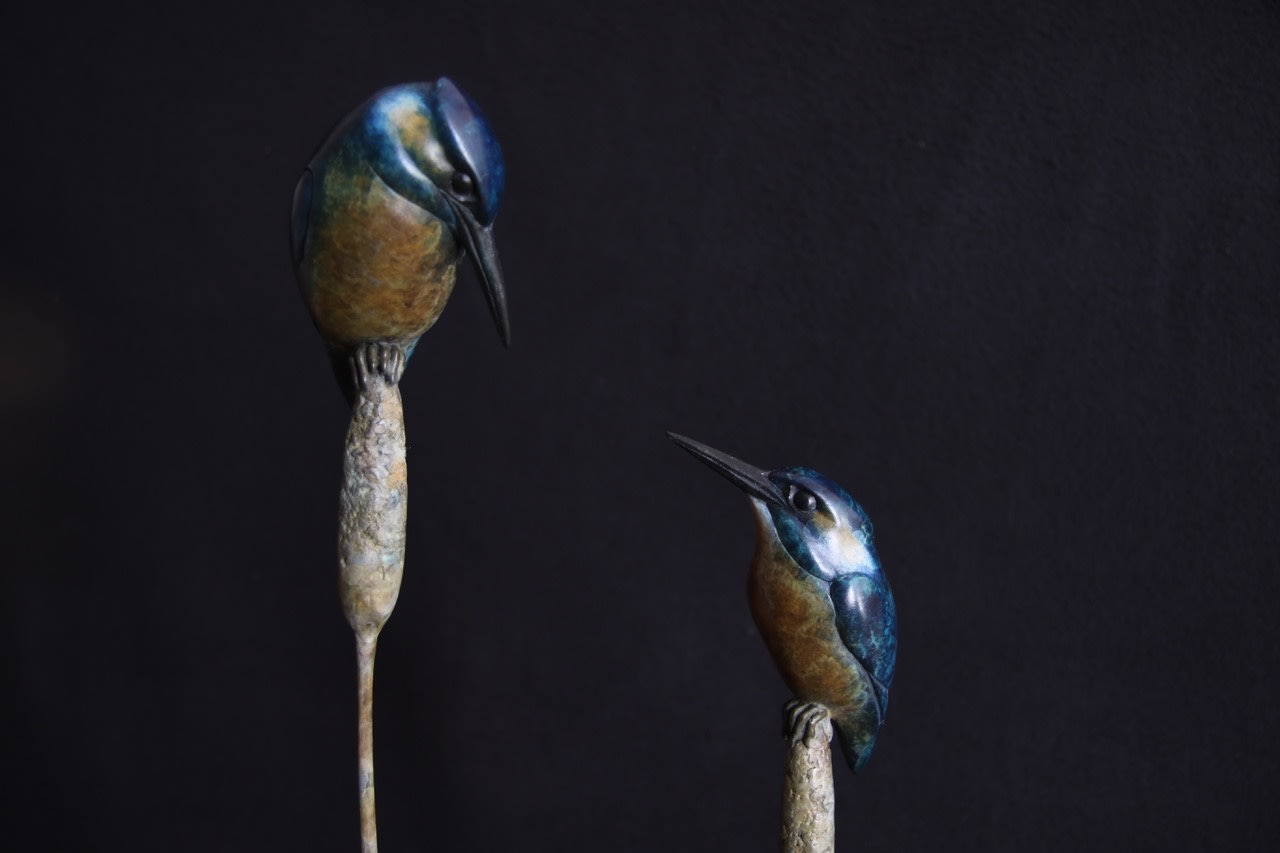 Adam Binder, Pair of Kingfishers