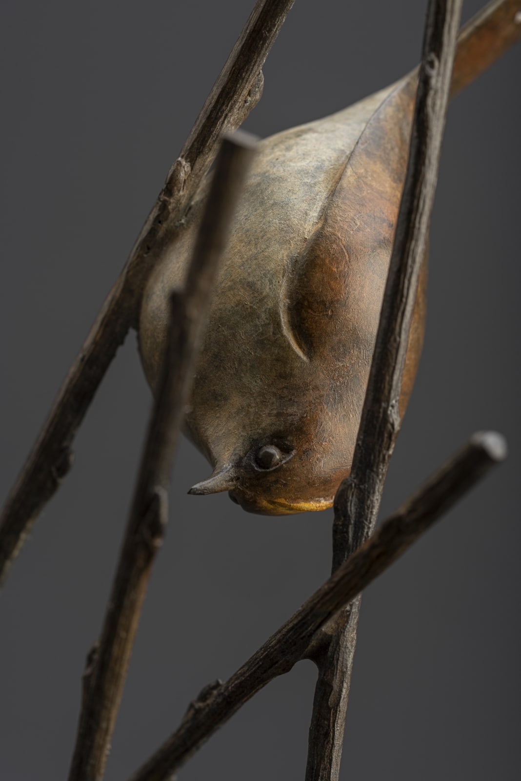 Adam Binder, Goldcrests