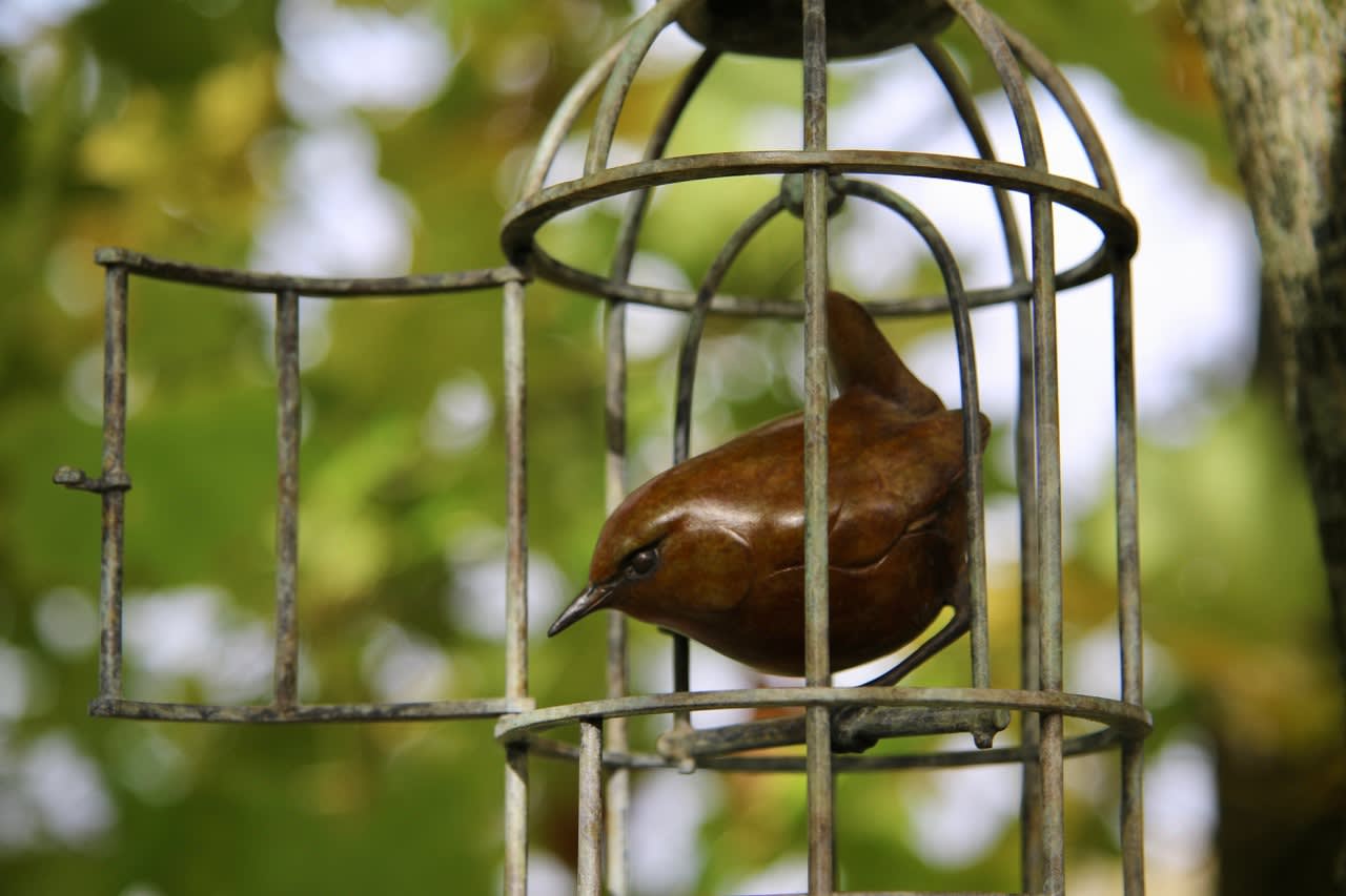 Adam Binder, Release - Wren