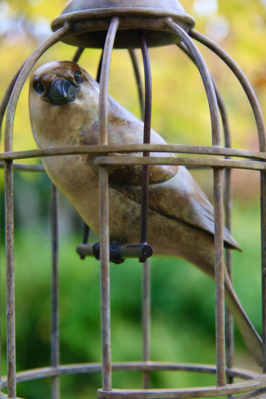 Adam Binder, Release - Sparrow