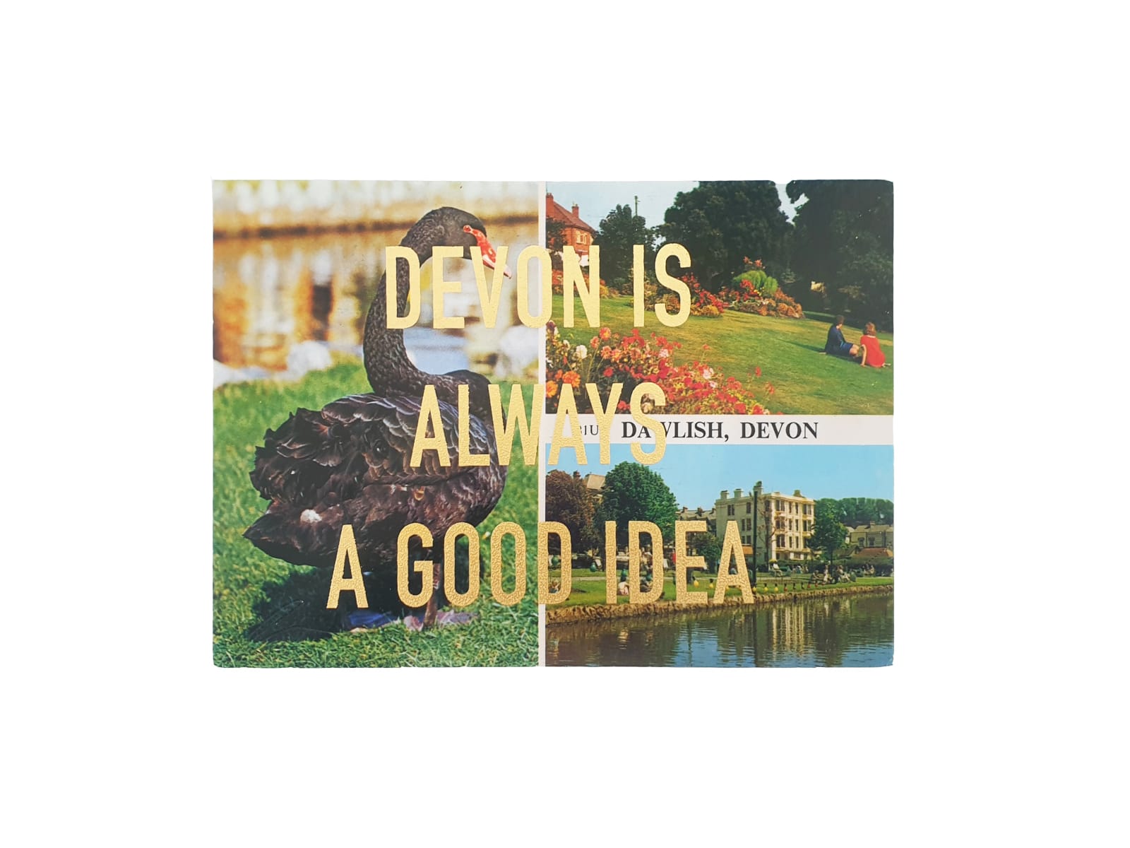 Dave Buonaguidi, Devon Is Always A Good Idea Postcard