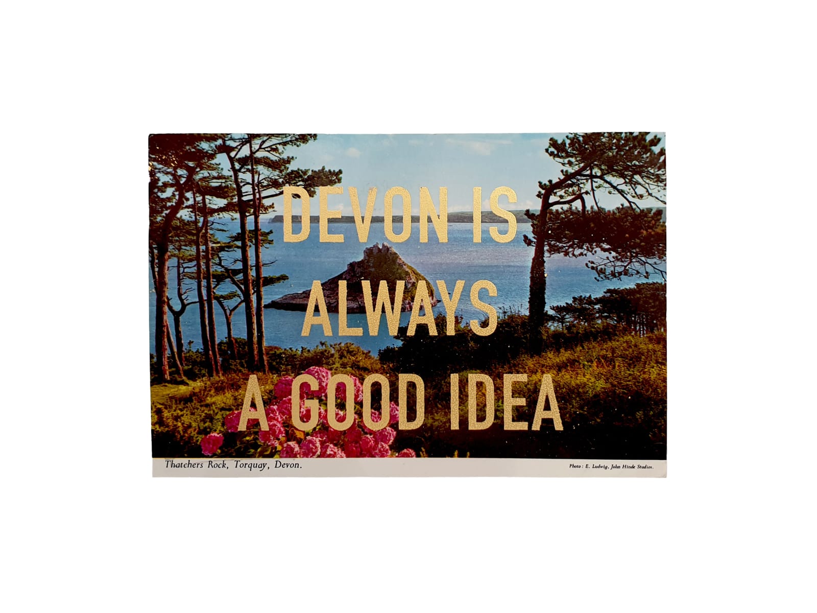 Dave Buonaguidi, Devon Is Always A Good Idea Postcard