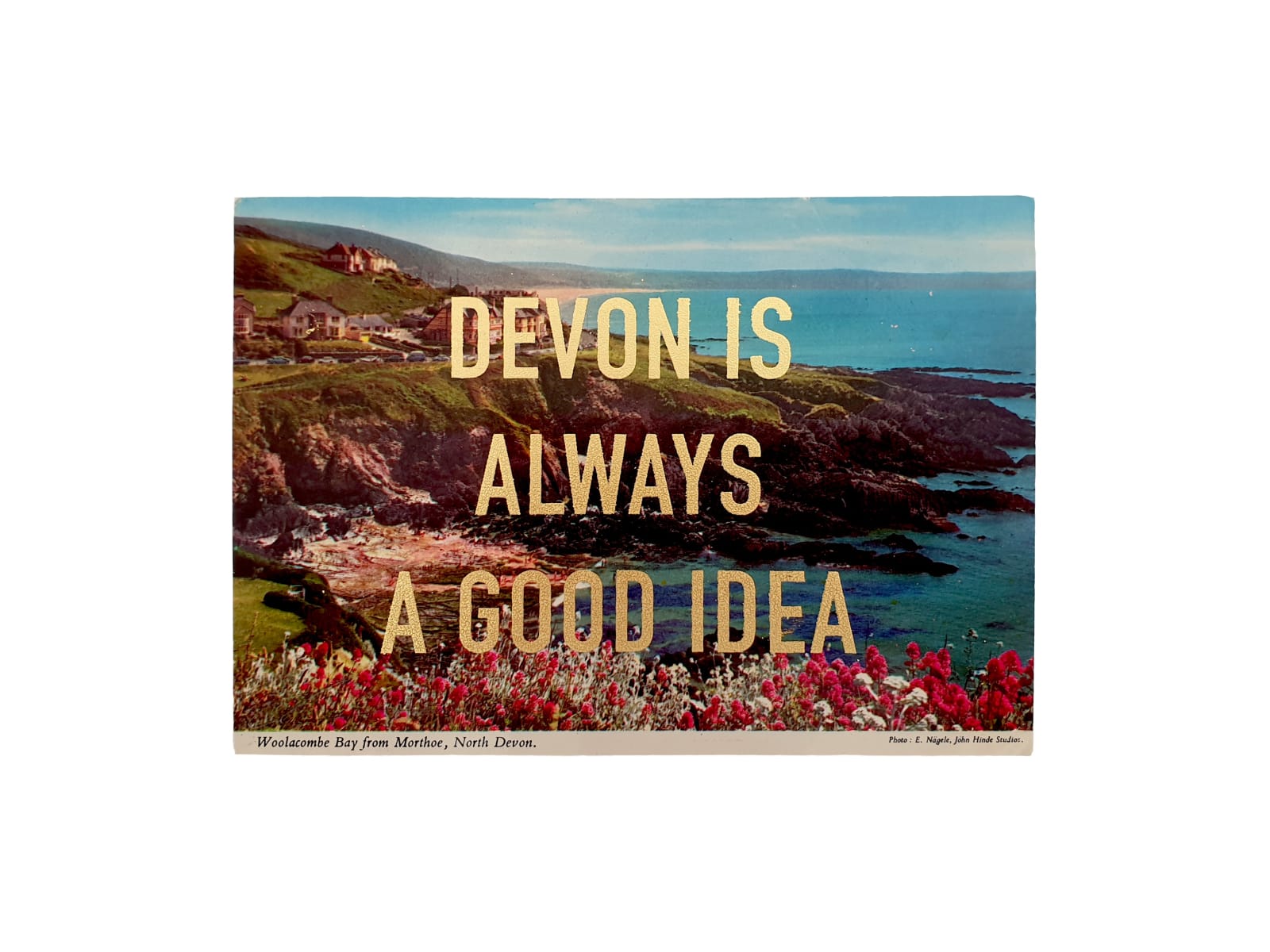 Dave Buonaguidi, Devon Is Always A Good Idea Postcard