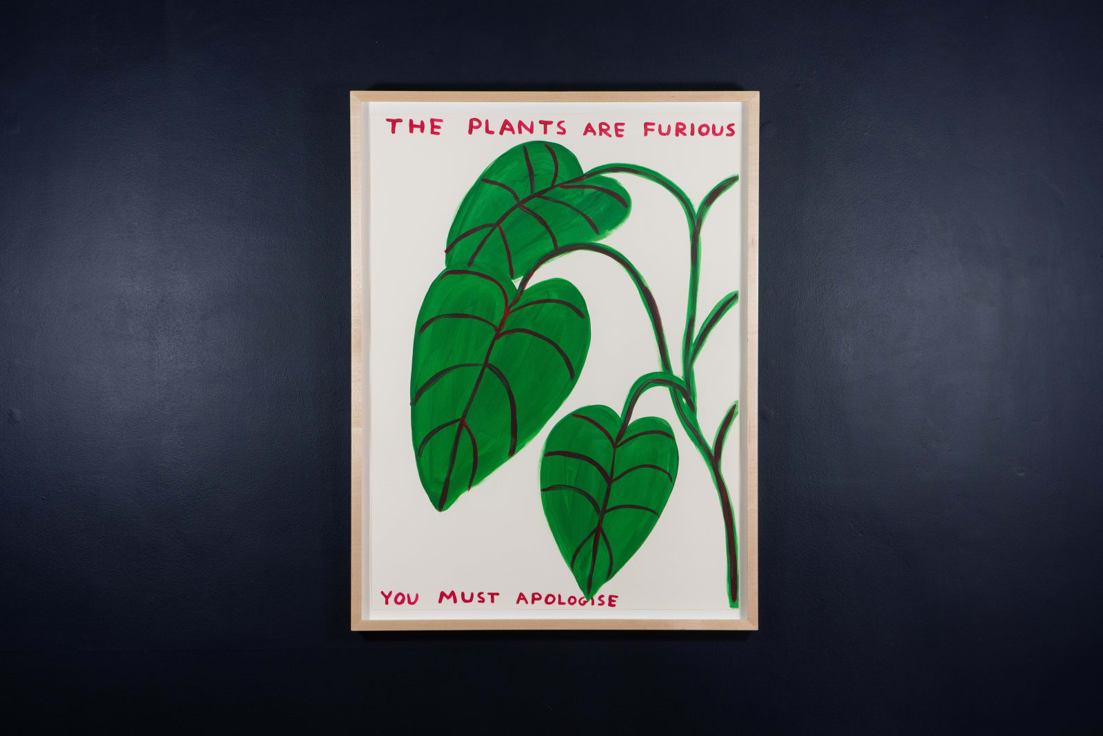 David Shrigley, The Plants Are Furious