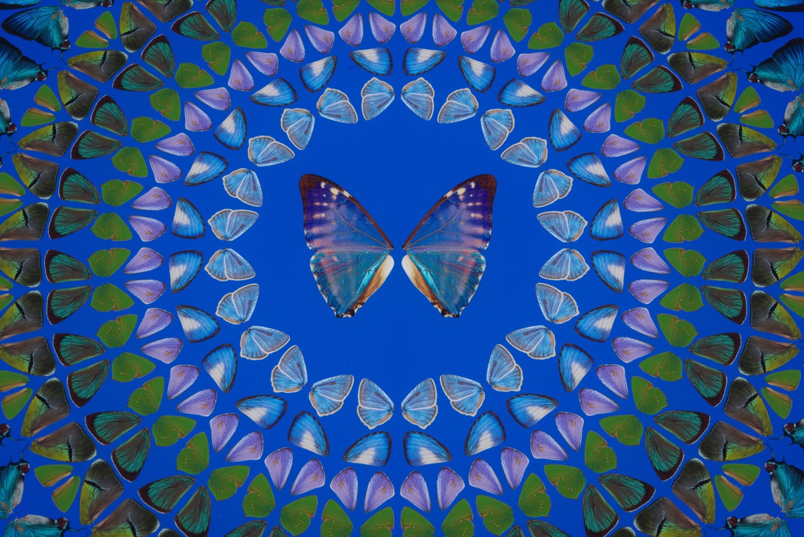 Damien Hirst, The Elements - Water