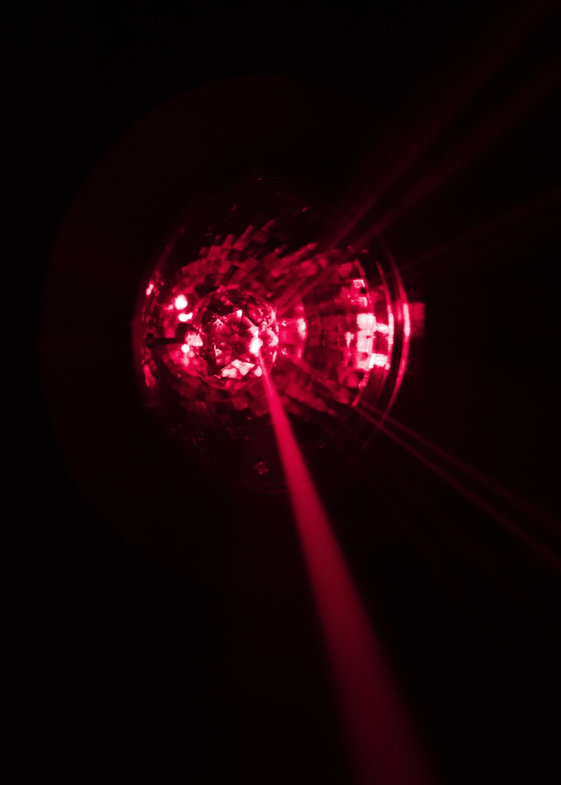 Chris Levine, Flower of Light