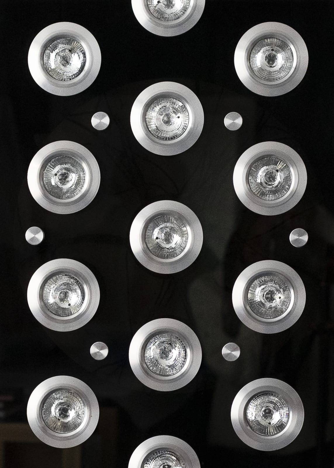 Chris Levine, Flower of Light