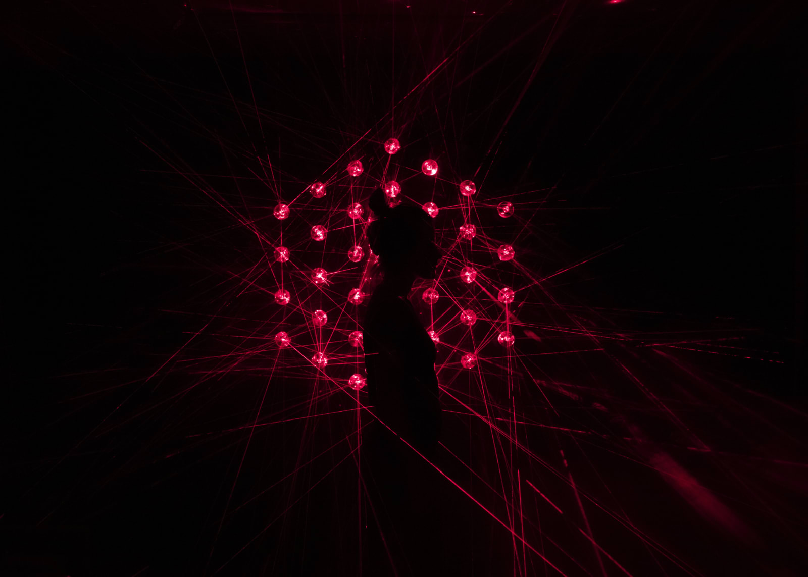 Chris Levine, Flower of Light