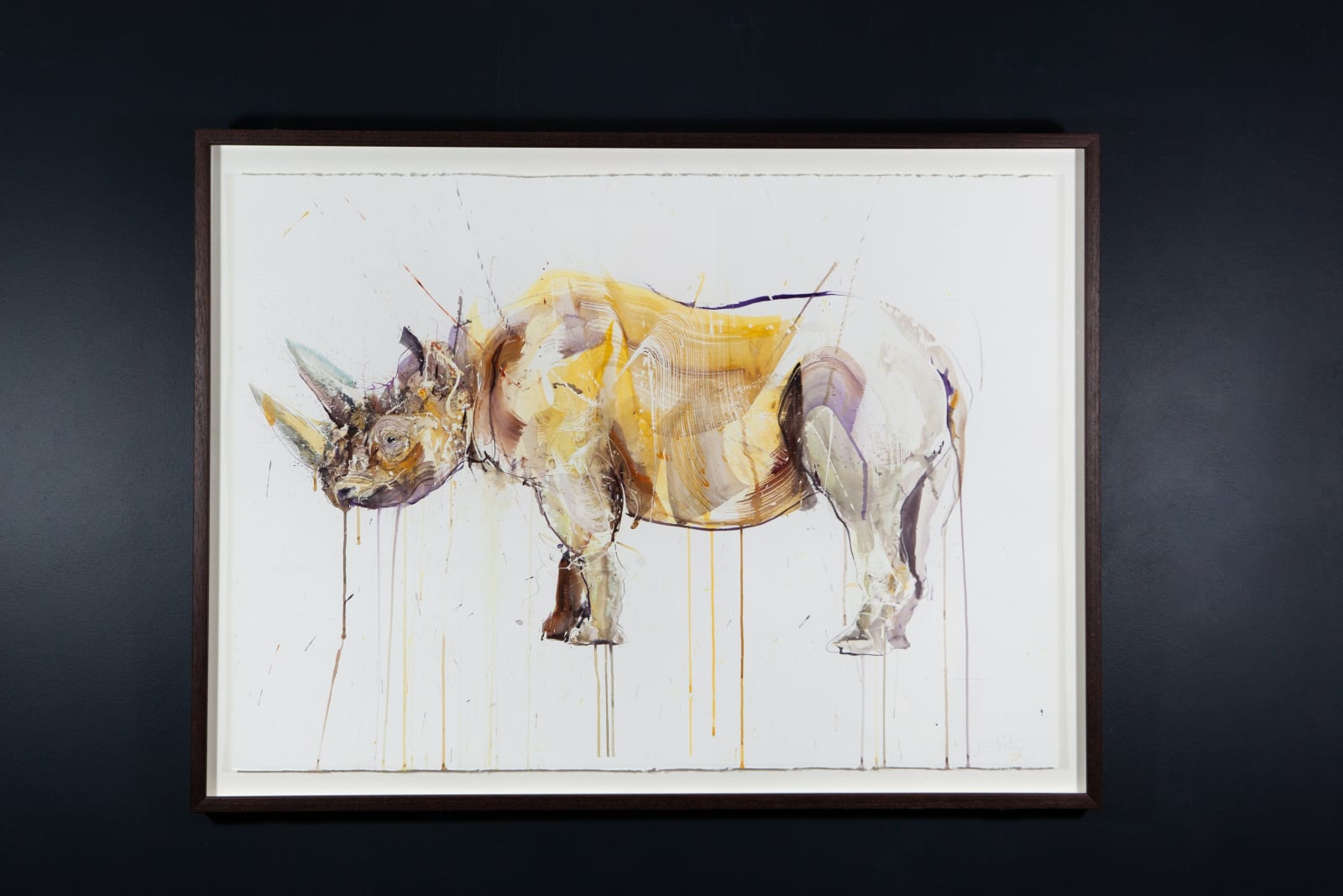 Dave White, Rhino