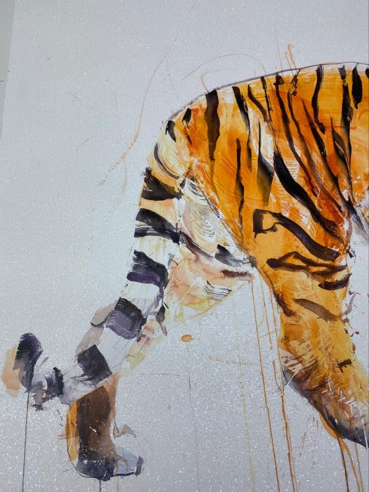 Dave White, Tiger