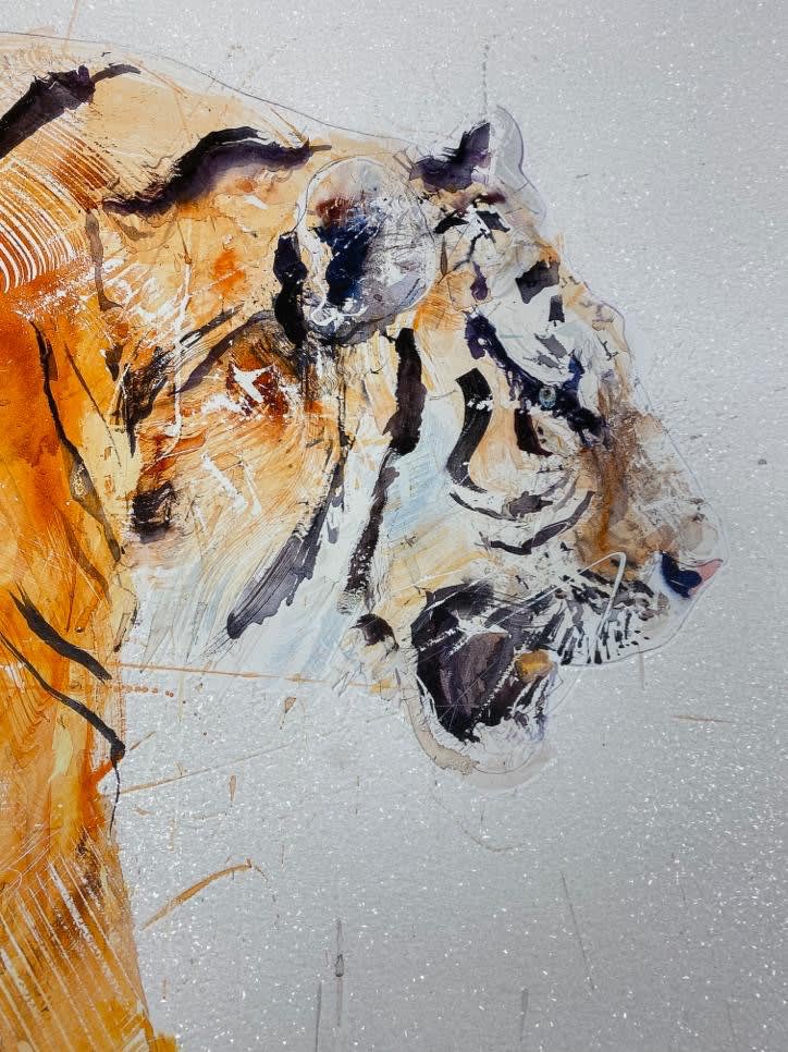 Dave White, Tiger