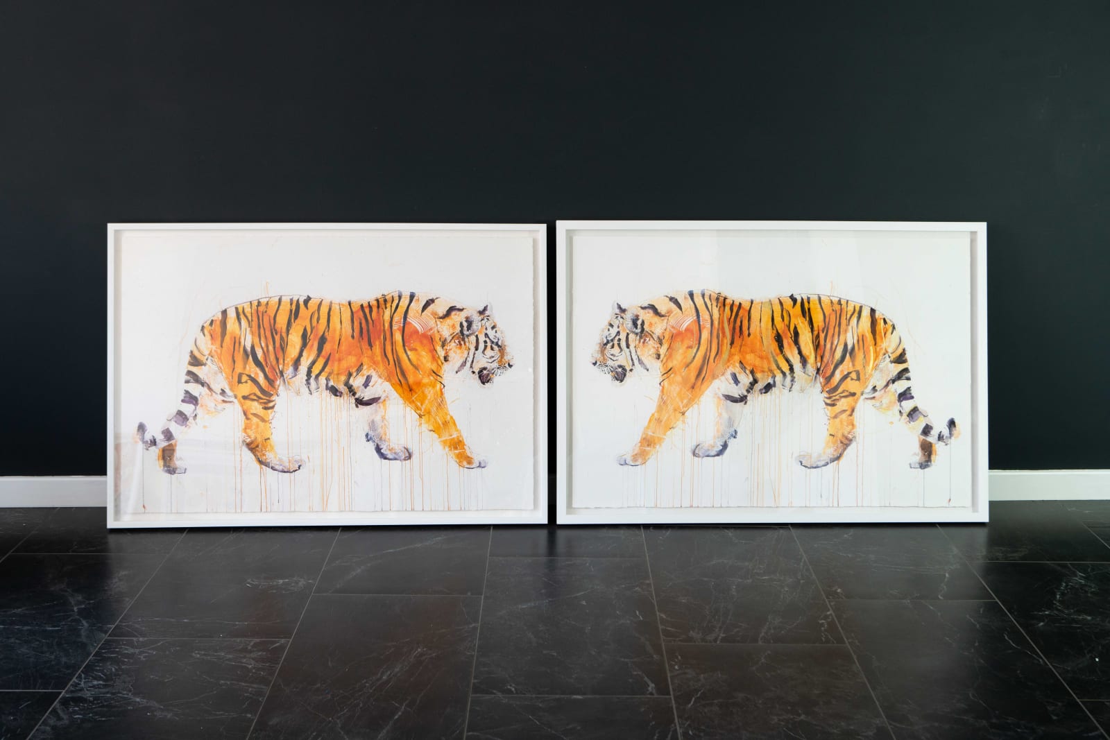 Dave White, Tiger
