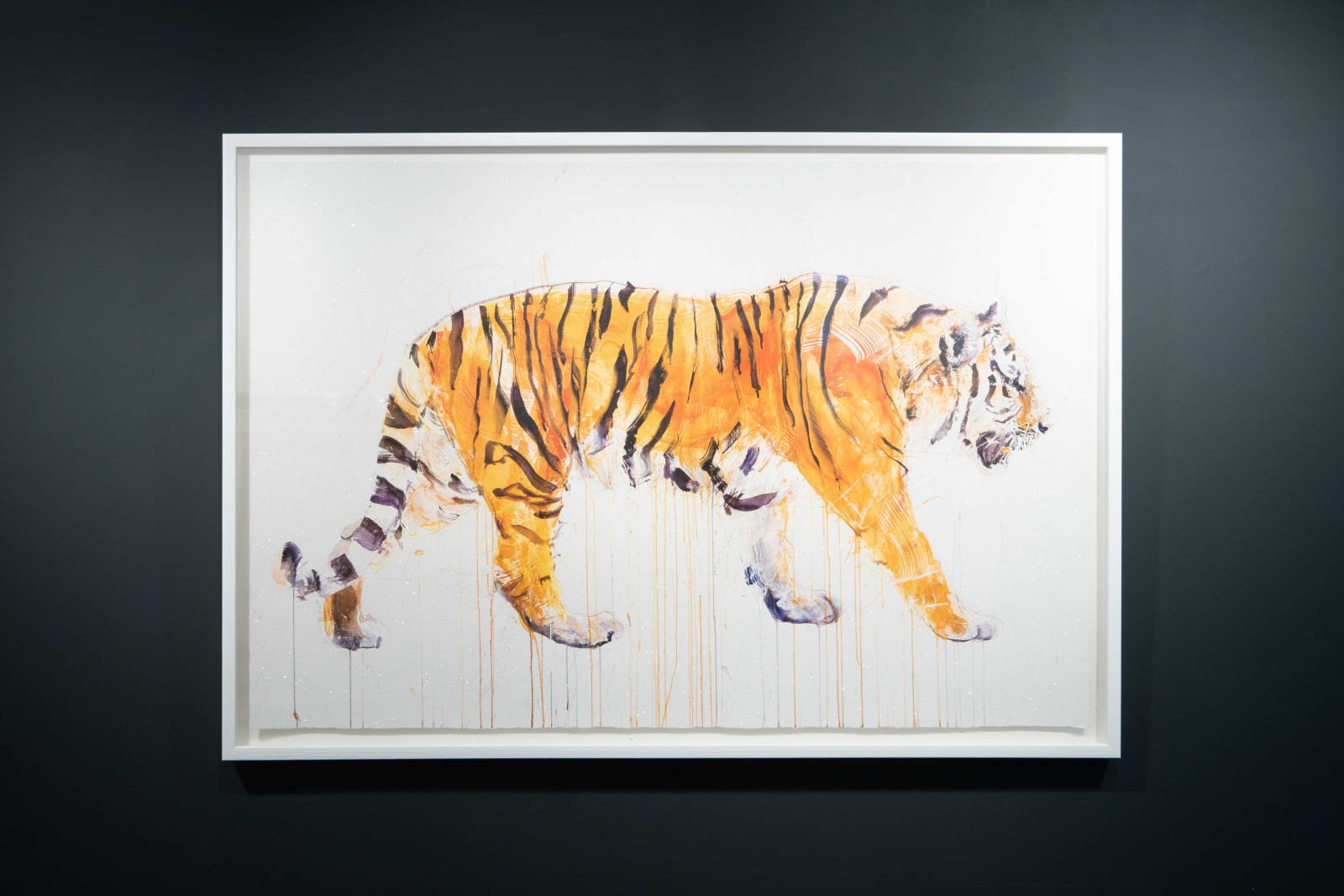 Dave White, Tiger