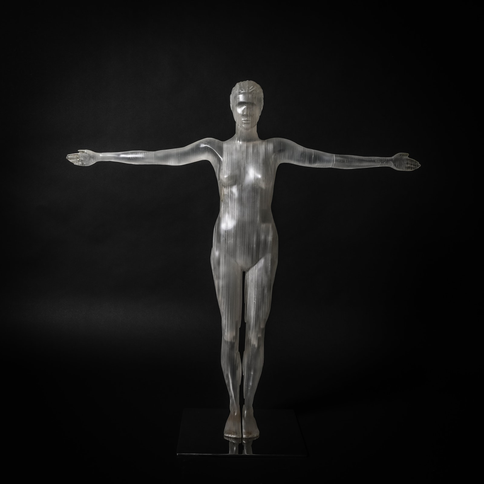 'Vitruvian Woman I', 2017