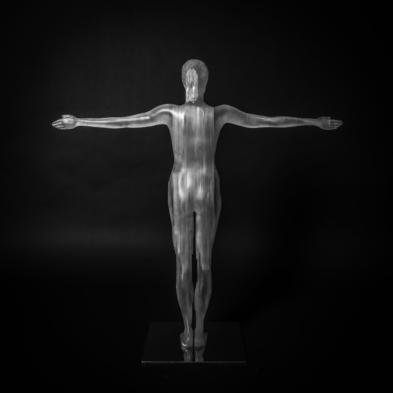 'Vitruvian Woman I', 2017